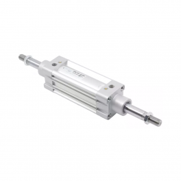 Пневмоцилиндр DMCAD-100-160 Pemaks