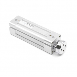 Двухштоковый пневмоцилиндр PTRM-32-025 Pemaks
